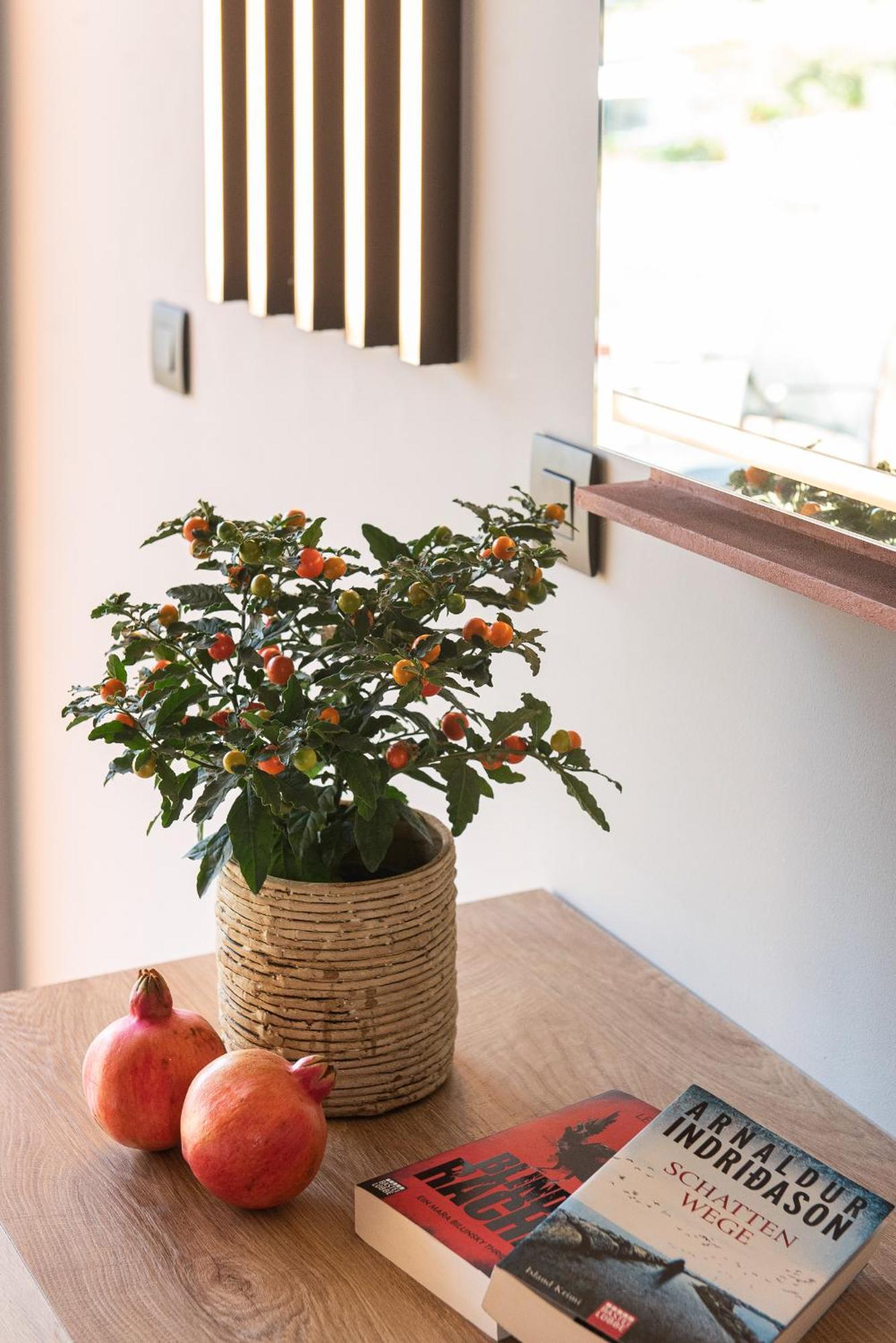 Ξενοδοχείο Pilot Amphora Boutique 